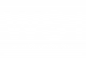 websoloution ONE